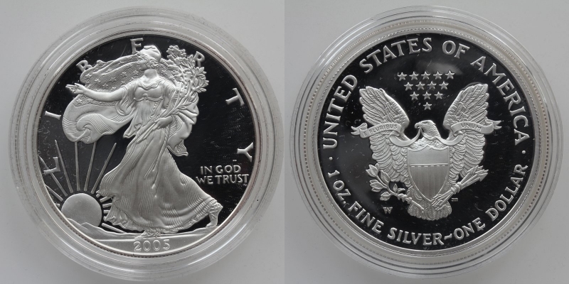 USA 1 Dollar 2005 W Silber 999