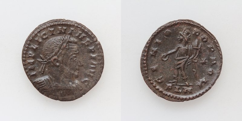 AN1566