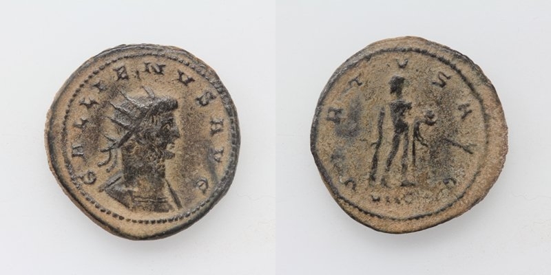 AN1627